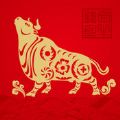 金牛钱包APP
