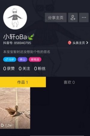 抖音刷播放量源码软件app安卓版 V1.0