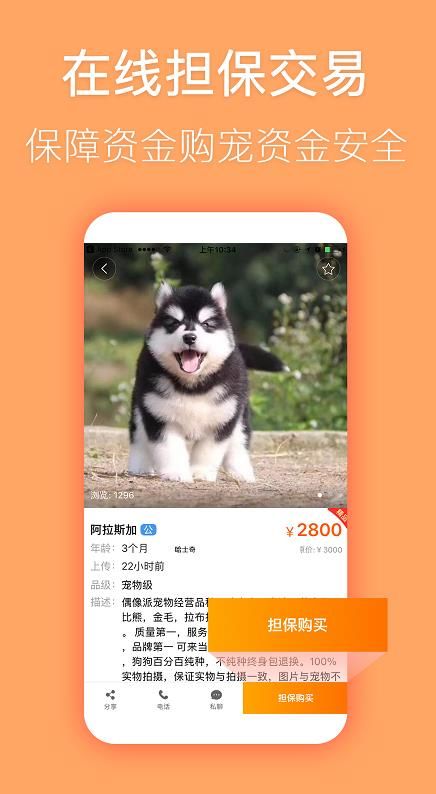 宠物市场交易平台app手机版下载图片1