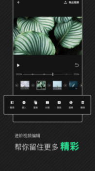 爱奇艺随刻手机版下载 v12.6.5 screenshot 4
