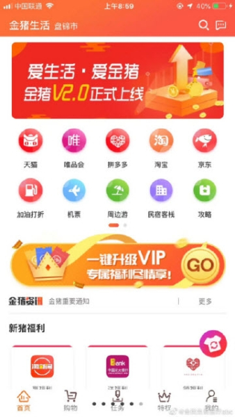 金猪生活下载手机版