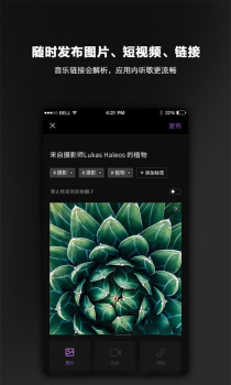 毛球app下载手机版 v3.3.2 screenshot 3