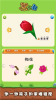 宝宝植物拼图安卓手机版下载 v2.11.4 screenshot 3