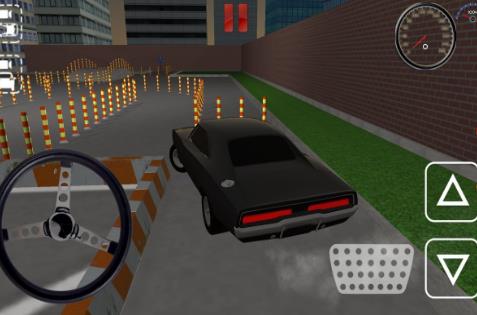 真正的停车3D游戏安卓版 v1.1.2.5 screenshot 2