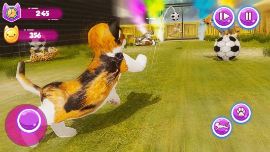 小小猫我的猫模拟器游戏安卓版免费下载 v1.0 screenshot 4