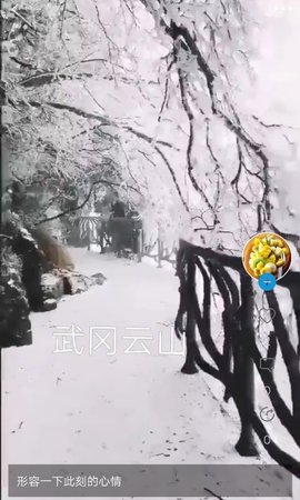 茧影粉丝短视频手机版下载