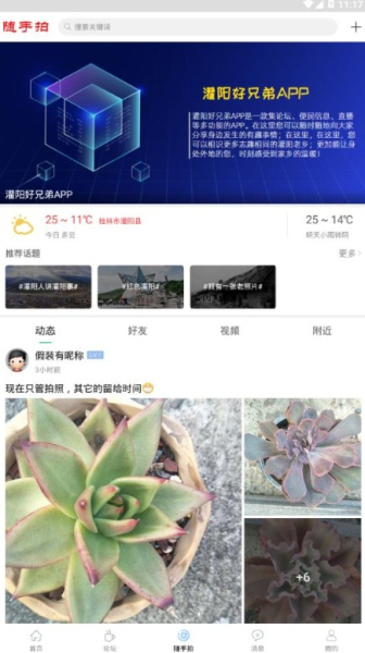 灌阳好兄弟下载手机版