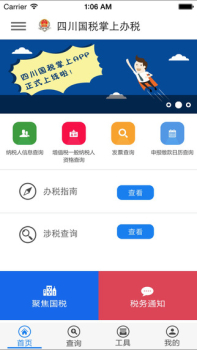 四川税务网上申报系统手机版下载 v1.17.0 screenshot 3