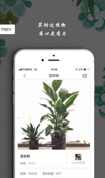 淘花运下载手机版