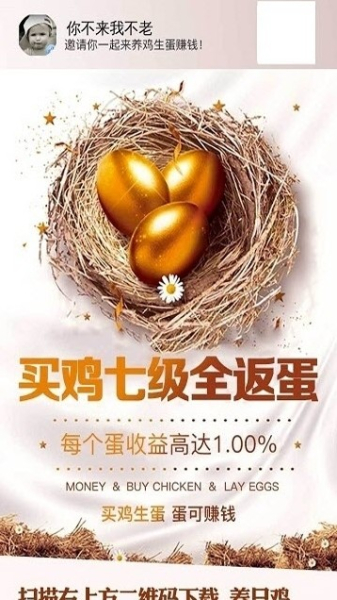 养只鸡下载手机版