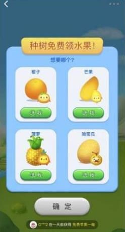 小美果园app下载最新版