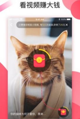 魔视短视频下载手机版