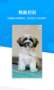犬易官方宠物管理平台下载 v1.3.1 screenshot 1
