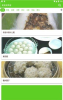 美食家菜谱安卓版手机下载 v1.1.5 screenshot 2