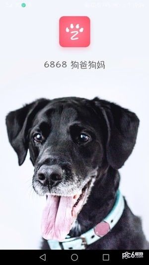68宠物官方安卓