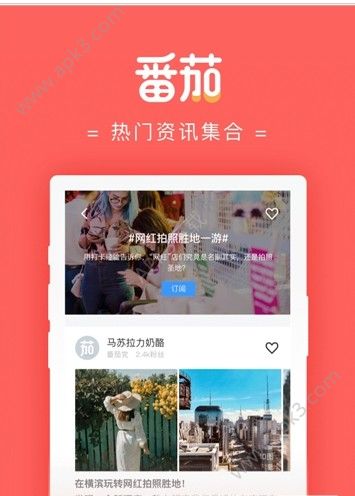 番茄大大手机版下载