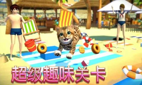 猫咪模拟器游戏安卓版下载 v2.2.34 screenshot 4