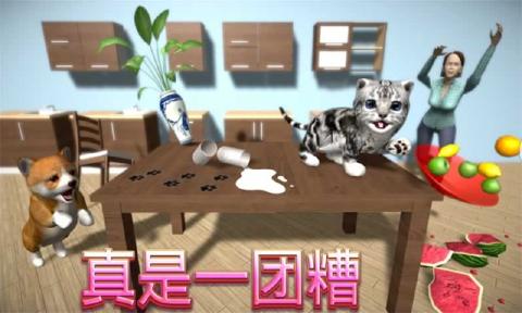 猫咪模拟器游戏安卓版下载 v2.2.34 screenshot 1