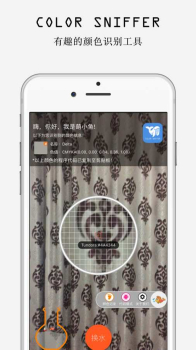 萌鱼辨色app下载手机版 v1.1.0 screenshot 1