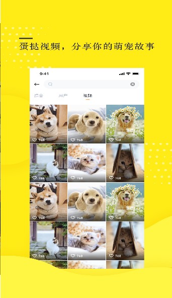 蛋挞视频手机版下载