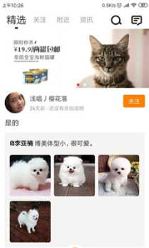 安心宠手机版下载 v0.0.9 screenshot 3