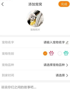 安心宠手机版下载 v0.0.9 screenshot 1