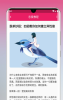 恋爱秘籍app下载手机版 v1.1.0 screenshot 2