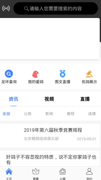 信鸽纵横安卓手机版下载