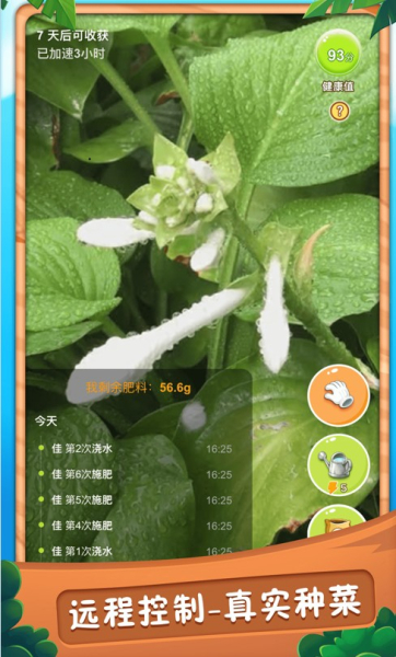 水滴农场红包app最新版
