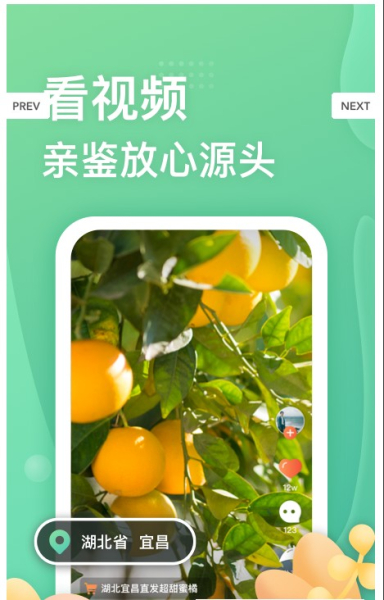 糖砖下载手机版
