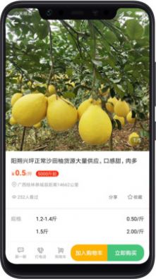 桃源明app最新版下载