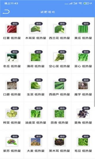 Fit瘦身减肥软件app下载