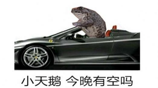 抖音小天鹅给个机会动态表情包gif大全下载