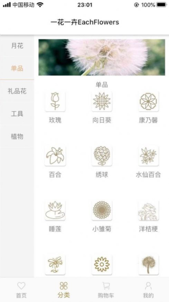 一花一卉软件app下载