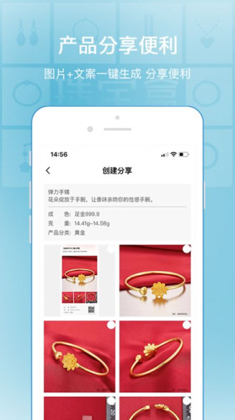 珠宝盒下载手机版app