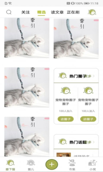 膝下猫软件手机版下载 v1.0.1 screenshot 2