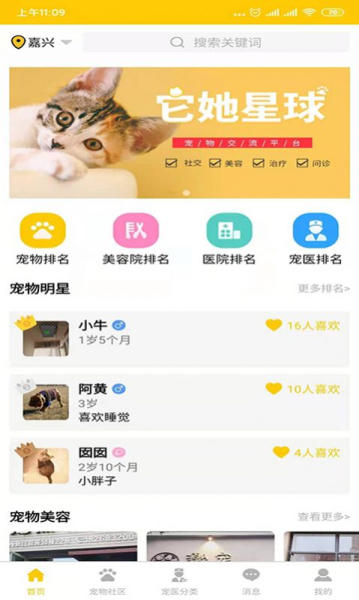 它她星球app最新版