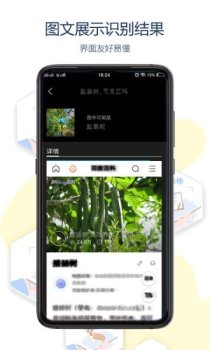 全能拍拍软件app下载 v1.0 screenshot 3