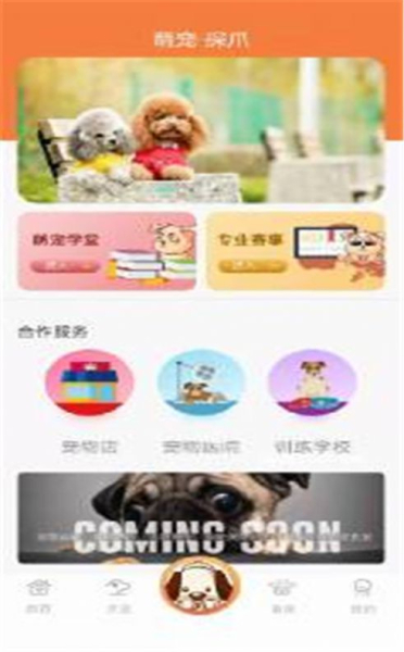 探爪app手机版下载