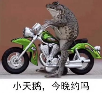 抖音小天鹅我馋你了今晚约吗蛤蟆表情包