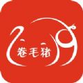 卷毛猪精选下载最新版app