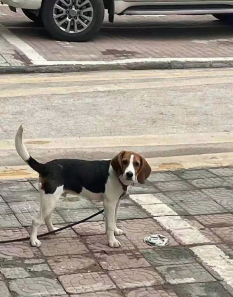 对不起停车没有看到你的碗表情包高清图片下载