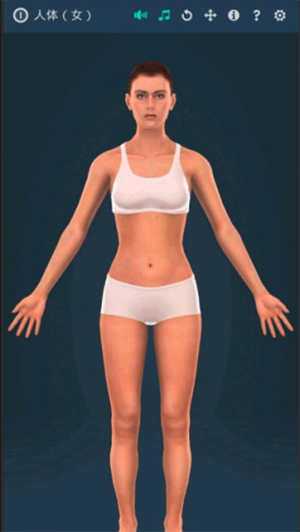 Human body人体系统女性3D手机版下载