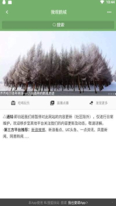 微观鹤城手机版下载 v1.1.9 screenshot 1