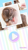 Fashionable hairstyle少女时尚发型安卓版下载 v1.0 screenshot 2