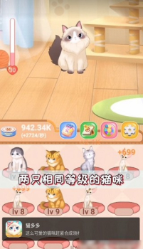 猫多多软件手机版下载 v1.1.0 screenshot 1