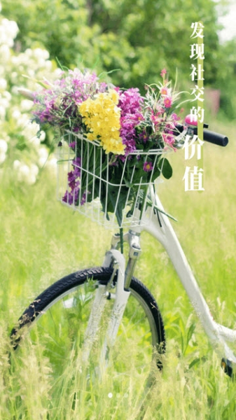 金聊软件下载最新版