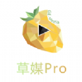 草莓Pro软件app手机版下载