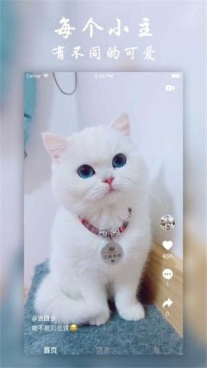 小主短视频手机版app下载