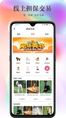跟脚网宠物平台手机版下载
